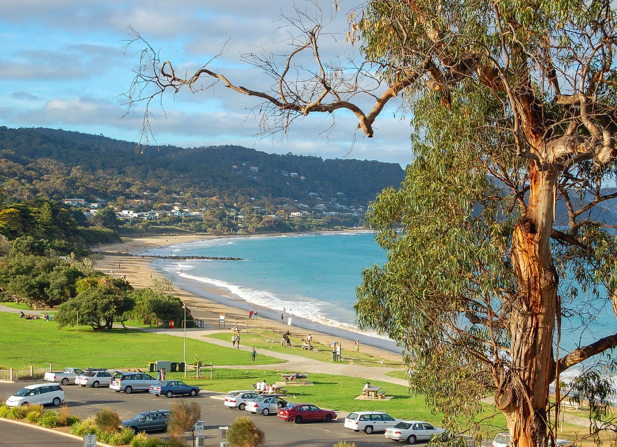 Mortgage Broker Lorne